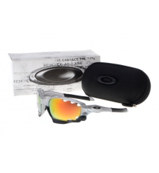 Oakley Glasses-0041
