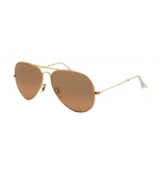 Ray-ban Glasses-1248