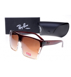 Ray-ban Glasses-1483